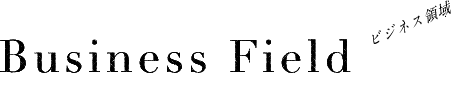 Business Fieldビジネス領域