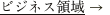 ビジネス領域